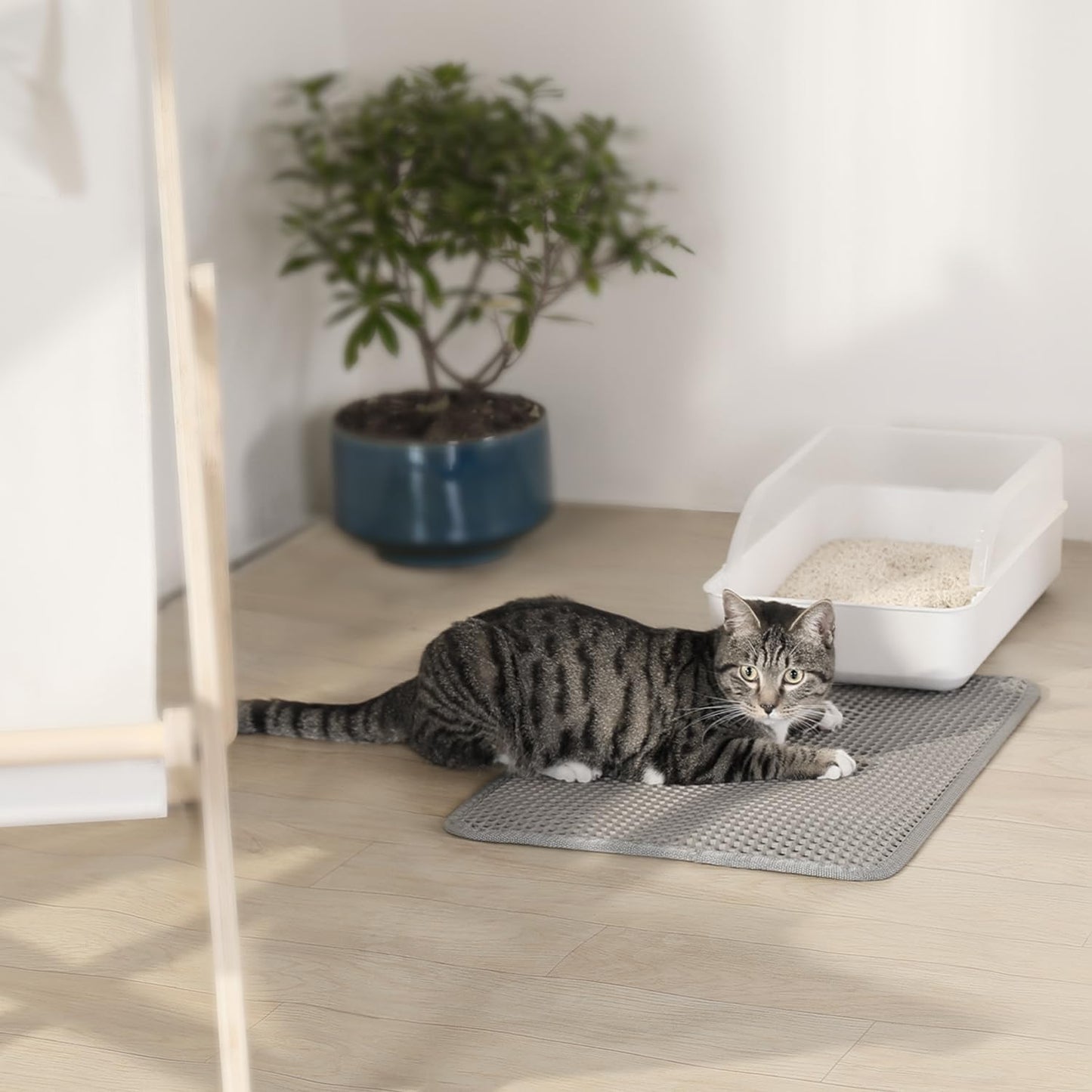Conlun Katzenklo Matte, 58X42Cm Waben Doppelschicht Katzenstreu Matte, Urin- & Wasserdichte Katzenmatte Katzenklo, Leicht Zu Reinigen, Rutschfeste Katzenmatte Für Den Boden, Grau, 2317