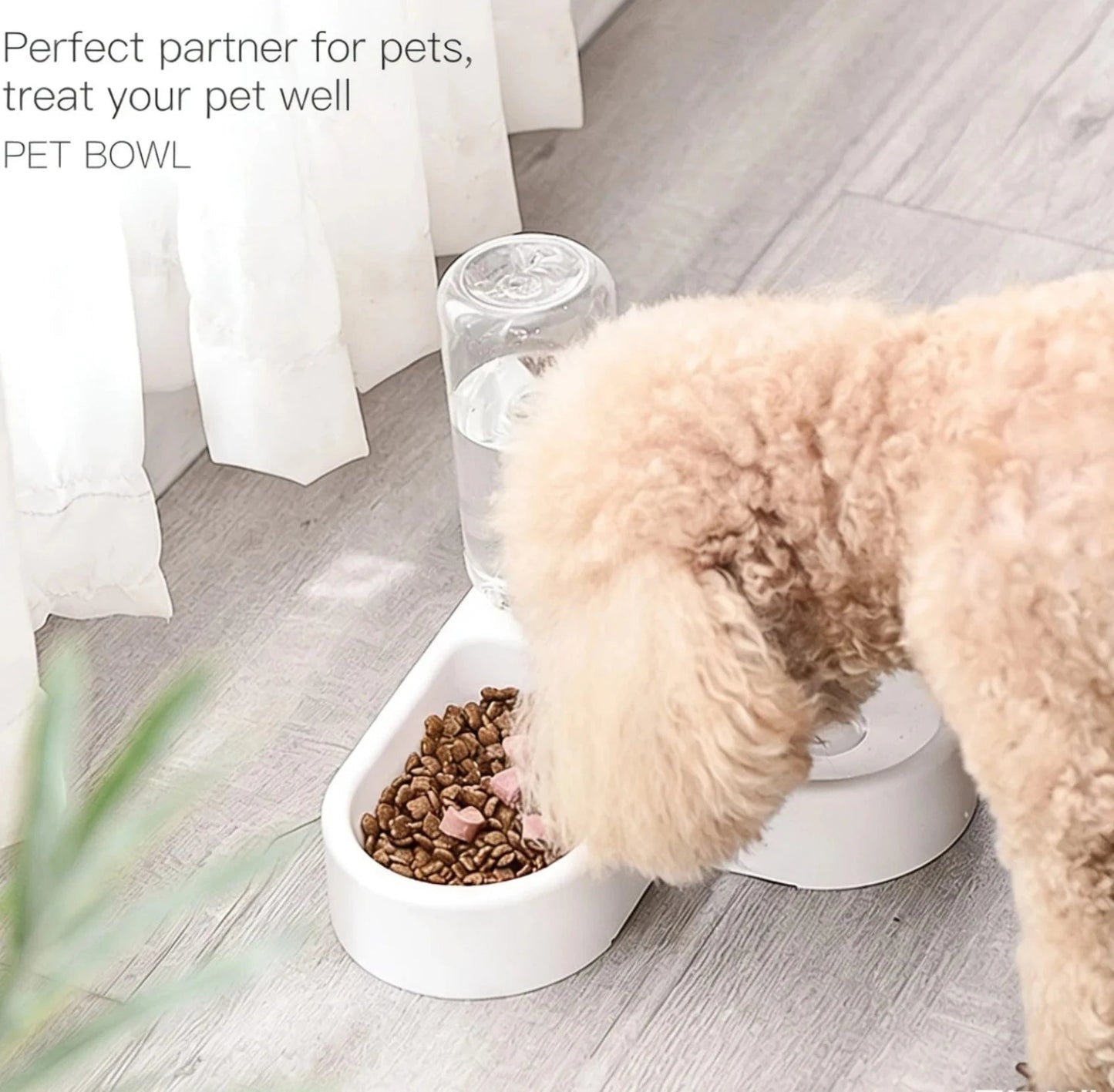Double Dog and Cat Bowl-Pet and Food Bowl Set With, Pet Feeding Bowl Suitable for Cats and Small Dogs - noblepetsdeluxe