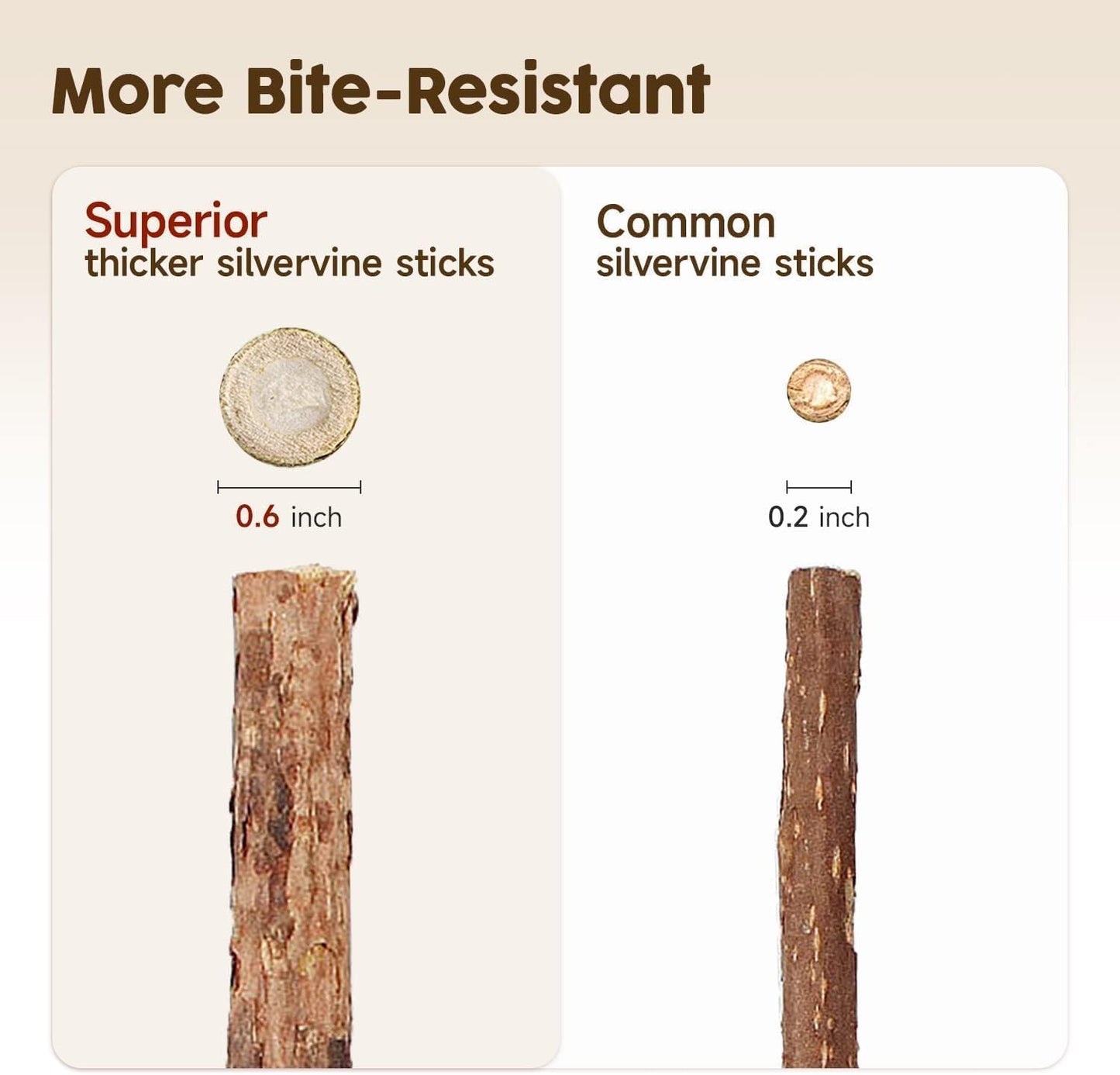 Katzenminze Sticks, 3 Stück Katzen Kauhölzer Sticks Für Katzen Zahnpflege & Gegen Mundgeruch Natürlich Sicher Katzensticks Kausticks