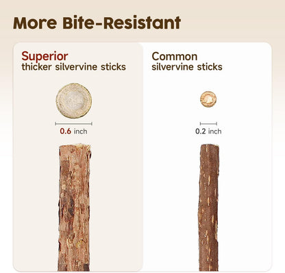 Katzenminze Sticks, 3 Stück Katzen Kauhölzer Sticks Für Katzen Zahnpflege & Gegen Mundgeruch Natürlich Sicher Katzensticks Kausticks