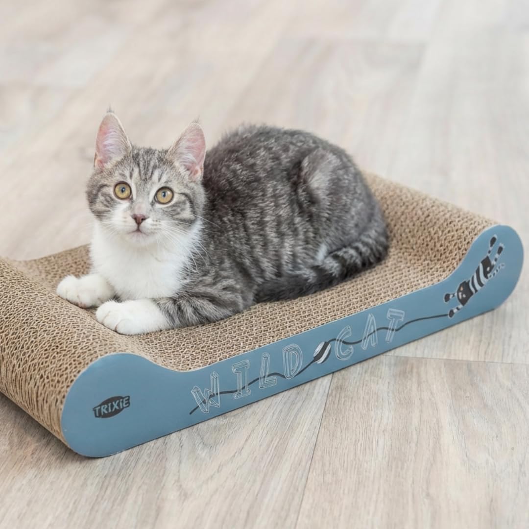 TRIXIE Kratzpappe Wild Cat – Kratzbrett Für Katzen Aus Stabiler Wellpappe Mit Katzenminze - 41 × 24 × 7 Cm - Zur Krallenpflege & Beschäftigung - 48000