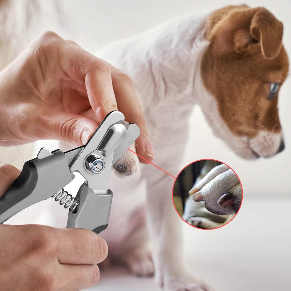Edelstahl Krallenschere Für Hunde Und Katzen Mit Sicherheitsschutz–Profi Hundekrallen Schneider&Nagelknipser Für Alle Rassen (Klein, Mittelgroß, Groß) Inkl.Krallenfeile, Vermeidet Überschneiden