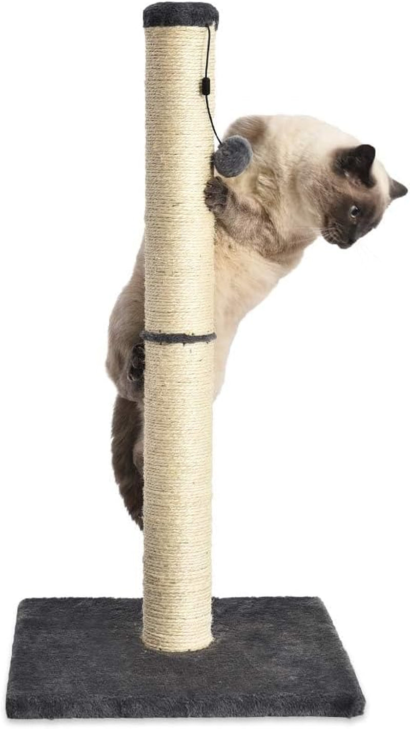 Amazon Basics Mittelgroßer Katzen-Kratzbaum, 40.01 X 40.01 X 80.01 Cm, Grau