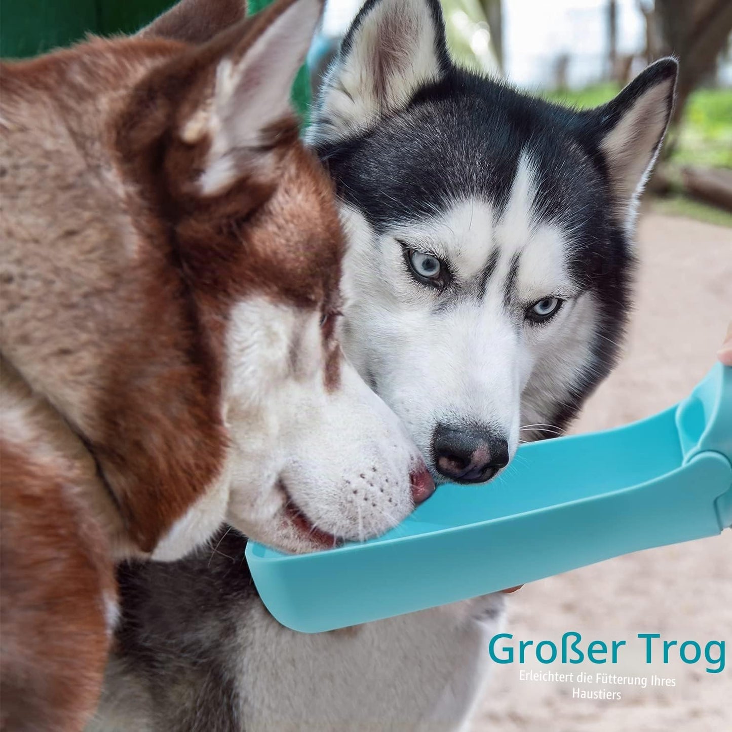 Trinkflasche Hunde Für Unterwegs Zum Gehen 550Ml Oder 350Ml Hundetrinkflasche Für Unterwegs Für Welpen Kleine Mittel Große Trinkflasche Hund Hunde Wasserflaschen to Go(550Ml Blau)