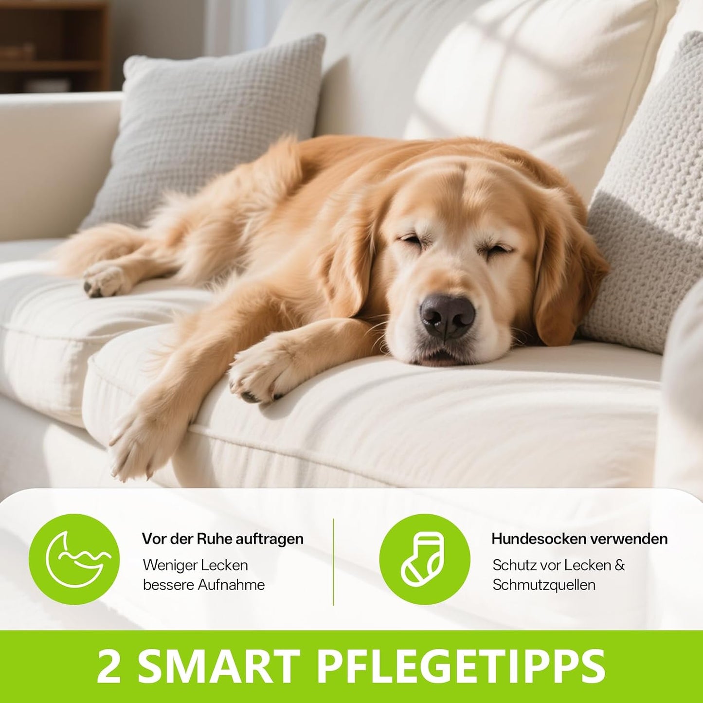 Pfotenbalsam Hund (Roll-On 70Ml) - Heilt, Repariert Und Regeneriert Trockene, Rissige & Beschädigte Pfoten, Pfotenpflege Pfotenschutz Hund, Hundepfoten Balsam, Hundezubehör, Hunde Geschenke