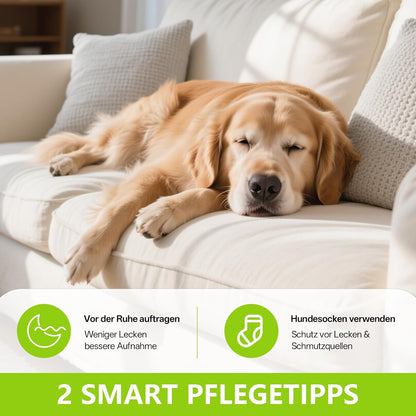 Pfotenbalsam Hund (Roll-On 70Ml) - Heilt, Repariert Und Regeneriert Trockene, Rissige & Beschädigte Pfoten, Pfotenpflege Pfotenschutz Hund, Hundepfoten Balsam, Hundezubehör, Hunde Geschenke