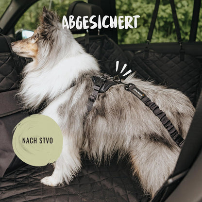 Rudelkönig Hundegurt Fürs Auto - Verstellbarer Anschnallgurt - Sicherheitsgurt Mit Rückdämpfung Für Alle Hunderassen & Autotypen