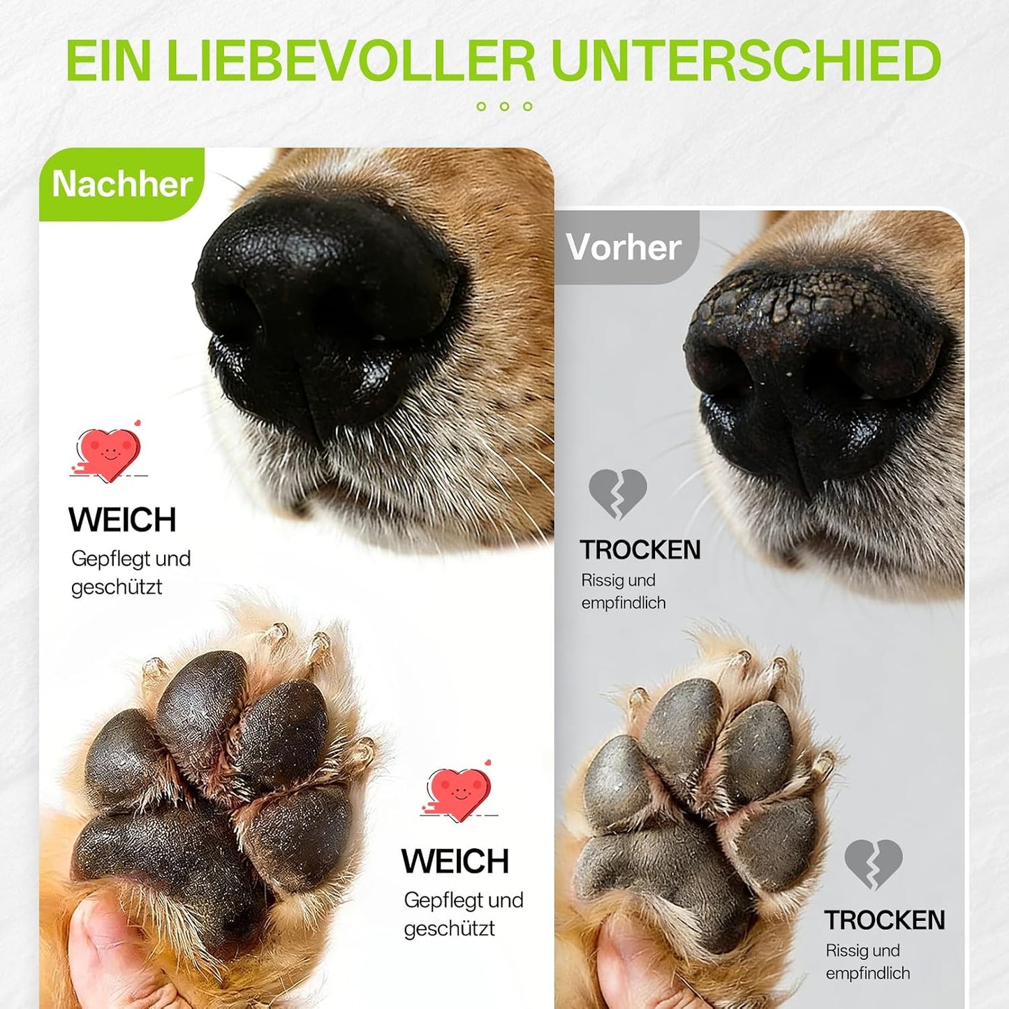 Pfotenbalsam Hund (Roll-On 70Ml) - Heilt, Repariert Und Regeneriert Trockene, Rissige & Beschädigte Pfoten, Pfotenpflege Pfotenschutz Hund, Hundepfoten Balsam, Hundezubehör, Hunde Geschenke