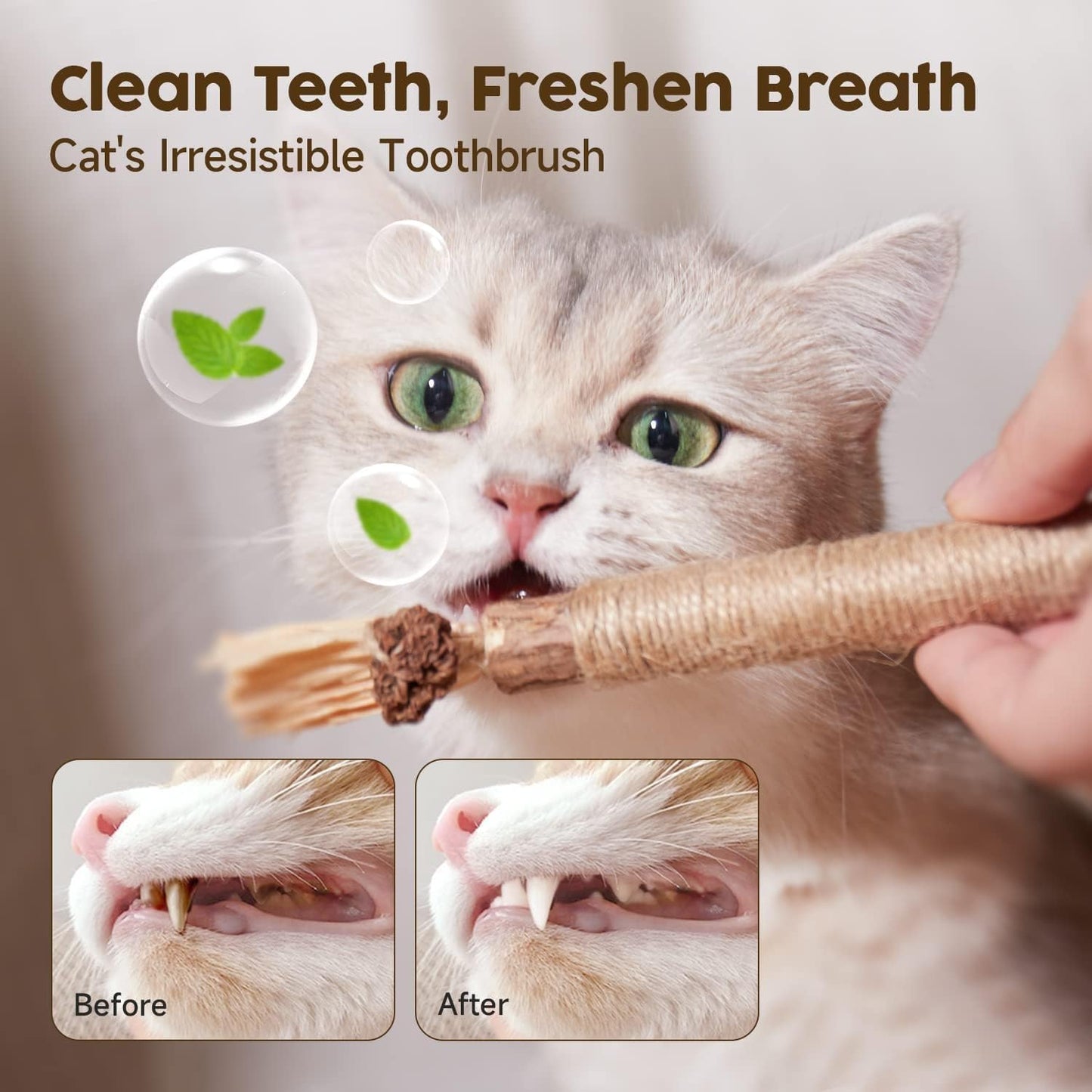 Katzenminze Sticks, 3 Stück Katzen Kauhölzer Sticks Für Katzen Zahnpflege & Gegen Mundgeruch Natürlich Sicher Katzensticks Kausticks
