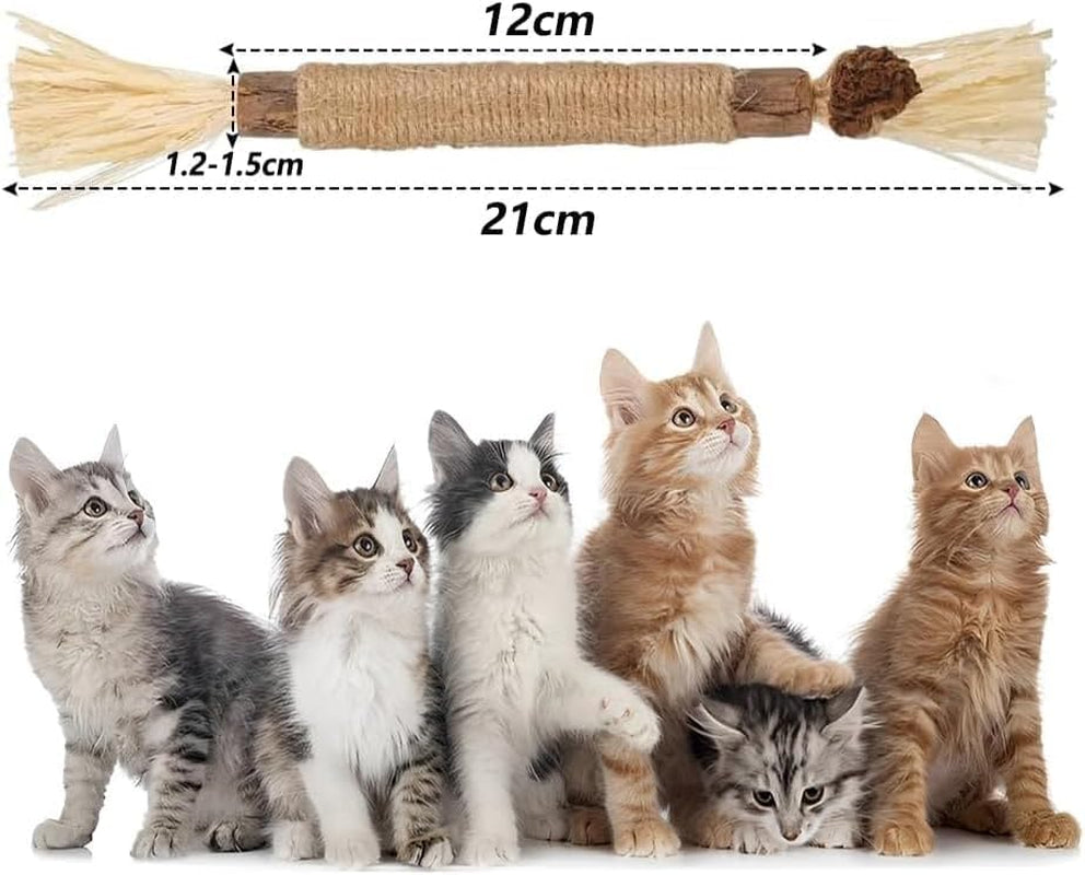 Katzenminze Sticks, 3 Stück Katzen Kauhölzer Sticks Für Katzen Zahnpflege & Gegen Mundgeruch Natürlich Sicher Katzensticks Kausticks
