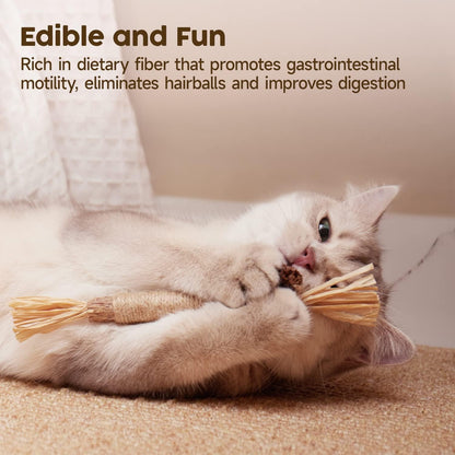 Katzenminze Sticks, 3 Stück Katzen Kauhölzer Sticks Für Katzen Zahnpflege & Gegen Mundgeruch Natürlich Sicher Katzensticks Kausticks