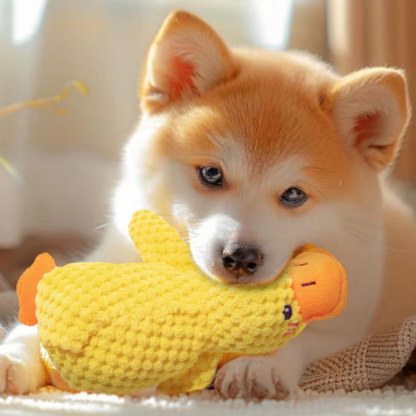 Hundespielzeug Aus Plüsch Für Kleine Hunde, Enten-Quietsch-Hundespielzeug, Weiches Welpenspielzeug Für Kleine Bis Mittelgroße Hunde - 25 Cm