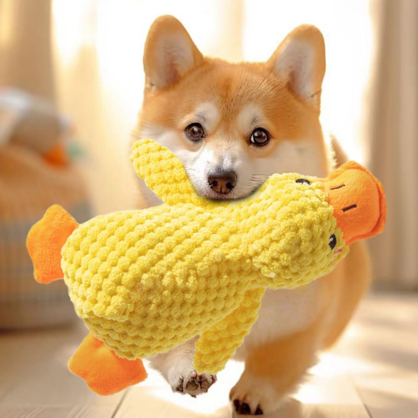 Hundespielzeug Aus Plüsch Für Kleine Hunde, Enten-Quietsch-Hundespielzeug, Weiches Welpenspielzeug Für Kleine Bis Mittelgroße Hunde - 25 Cm