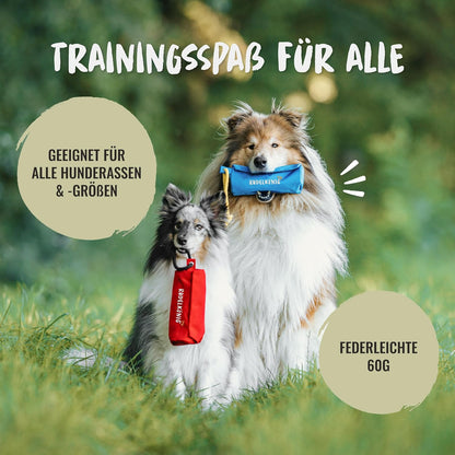 Rudelkönig Futterbeutel Für Hunde - Apportierbeutel Für Hundetraining - Robuster Futterdummy Für Leckerlies - Dummy Hund