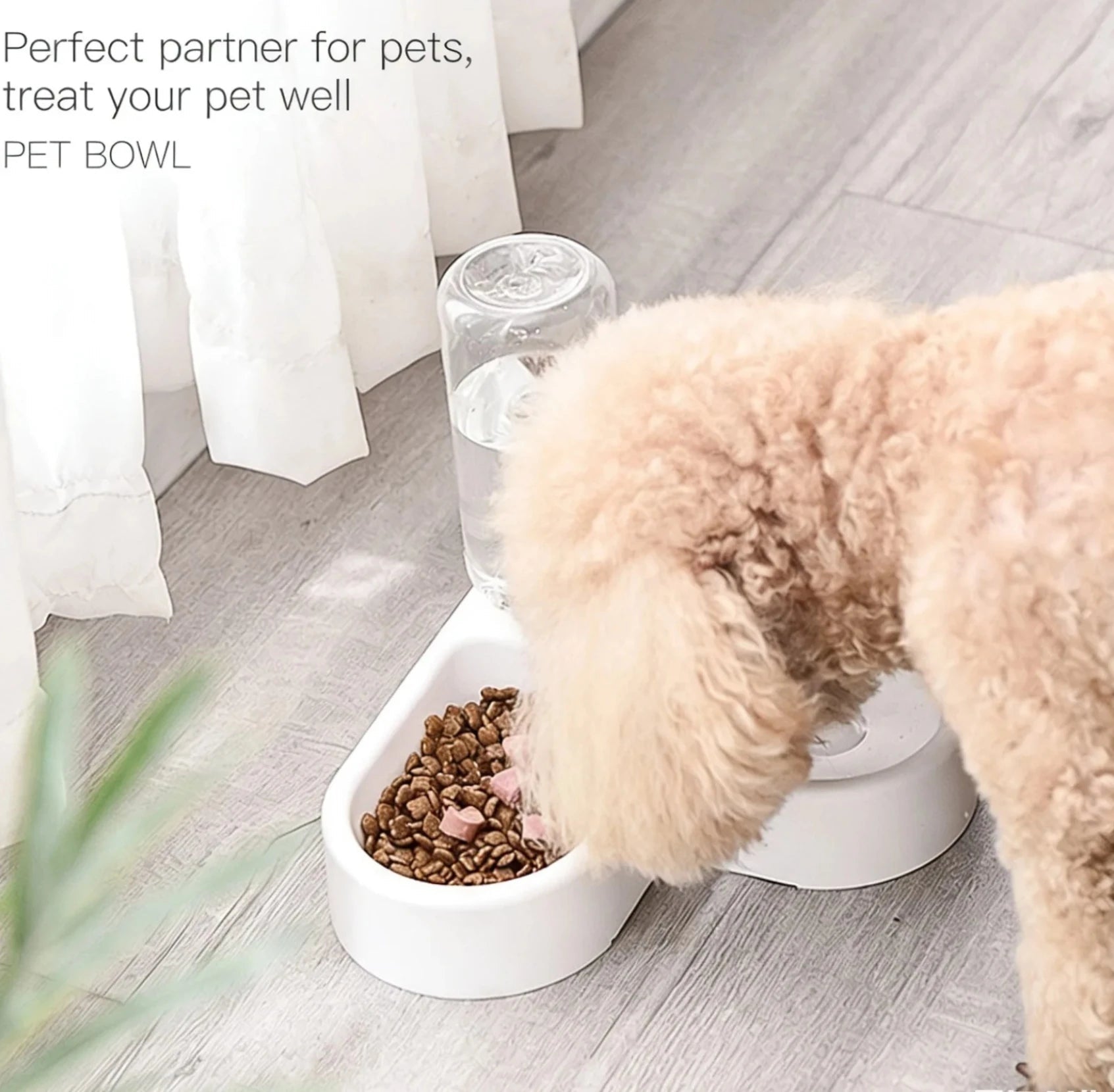 Double Dog and Cat Bowl-Pet and Food Bowl Set With, Pet Feeding Bowl Suitable for Cats and Small Dogs - noblepetsdeluxe