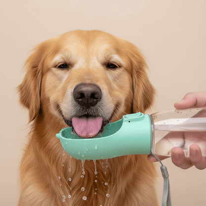 NobleFlow - noblepetsdeluxe